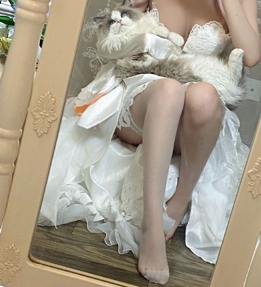 电车之狼r点了没反应_720高清视频观看